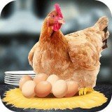 母鸡护蛋免费版
