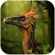 Troodon Simulator(伤齿动物模拟器)