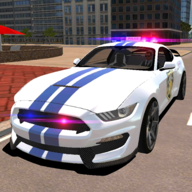 R8 Police Car Driving(R8警察模拟器手机汉化版)