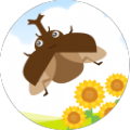 BeetleSummerVacation(我和甲虫的暑假)