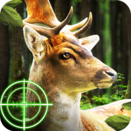 Deer Hunting(猎鹿动物狩猎)