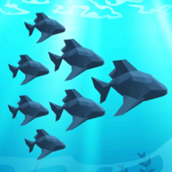 Crowd Fish 3D(鱼群3D)