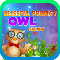 Blissful Prodigy Owl Escape(幸福的神童猫头鹰逃生)
